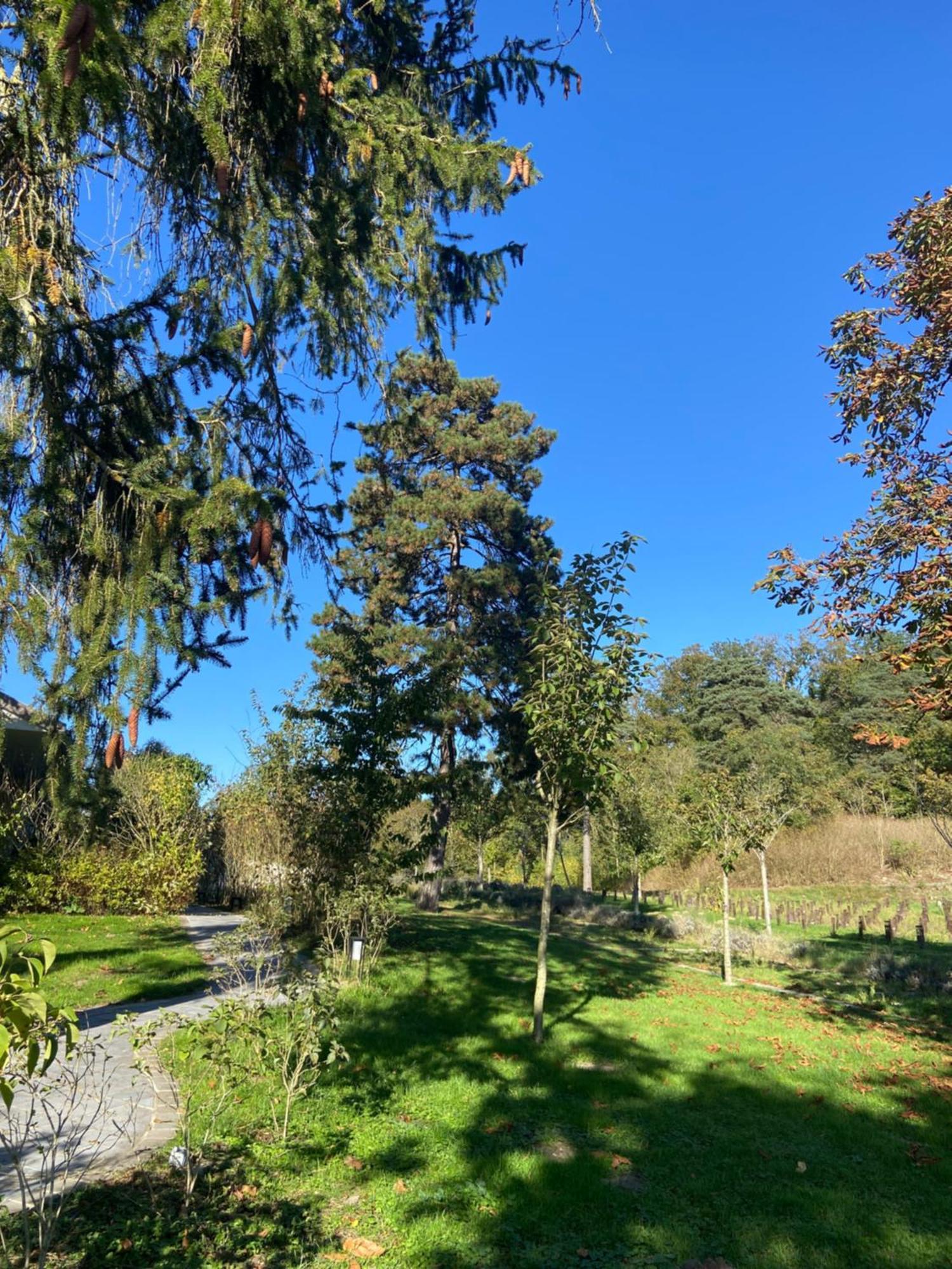 Chateau De Fere Exteriör bild